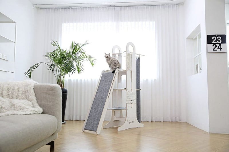 Your cat is going to thank you for this jungle gym, but not in so many words 