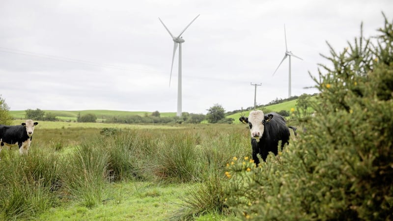 The large majority of renewable energy comes from wind  