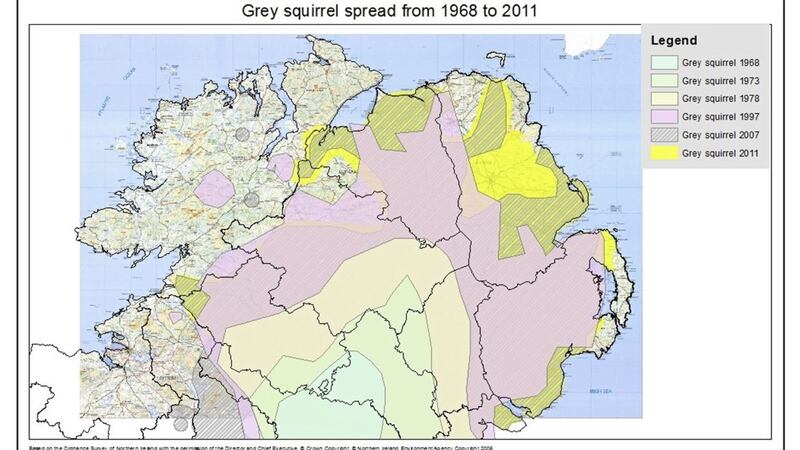 Map showing the spread of grey squirrels across the north. Picture from the Northern Ireland Environment Agency   