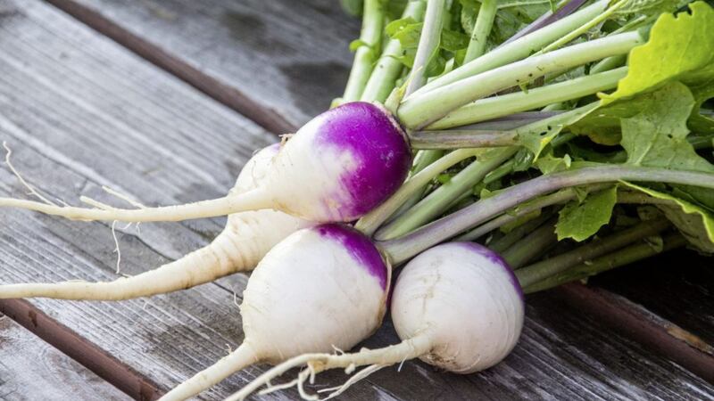 Turnips &ndash; as opposed to swedes, which are often called turnips &ndash; are ready to pick when about the size of a golf ball 