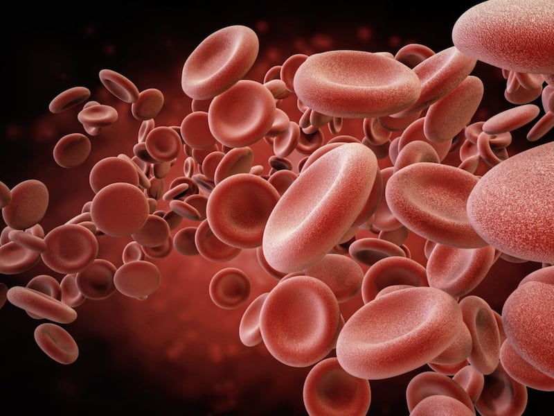 Platelets are the smallest type of blood cell and are a vital component of the blood clotting mechanism 