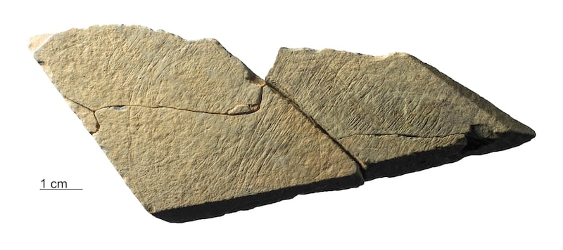 Stone fragments found at the found at the Les Varines archaeological site in the south east of Jersey