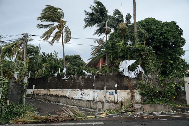 Palm trees in the road in the town of La Plaine Saint-Paul on the French Indian Ocean island of Reunion (Lewis Joly/AP)