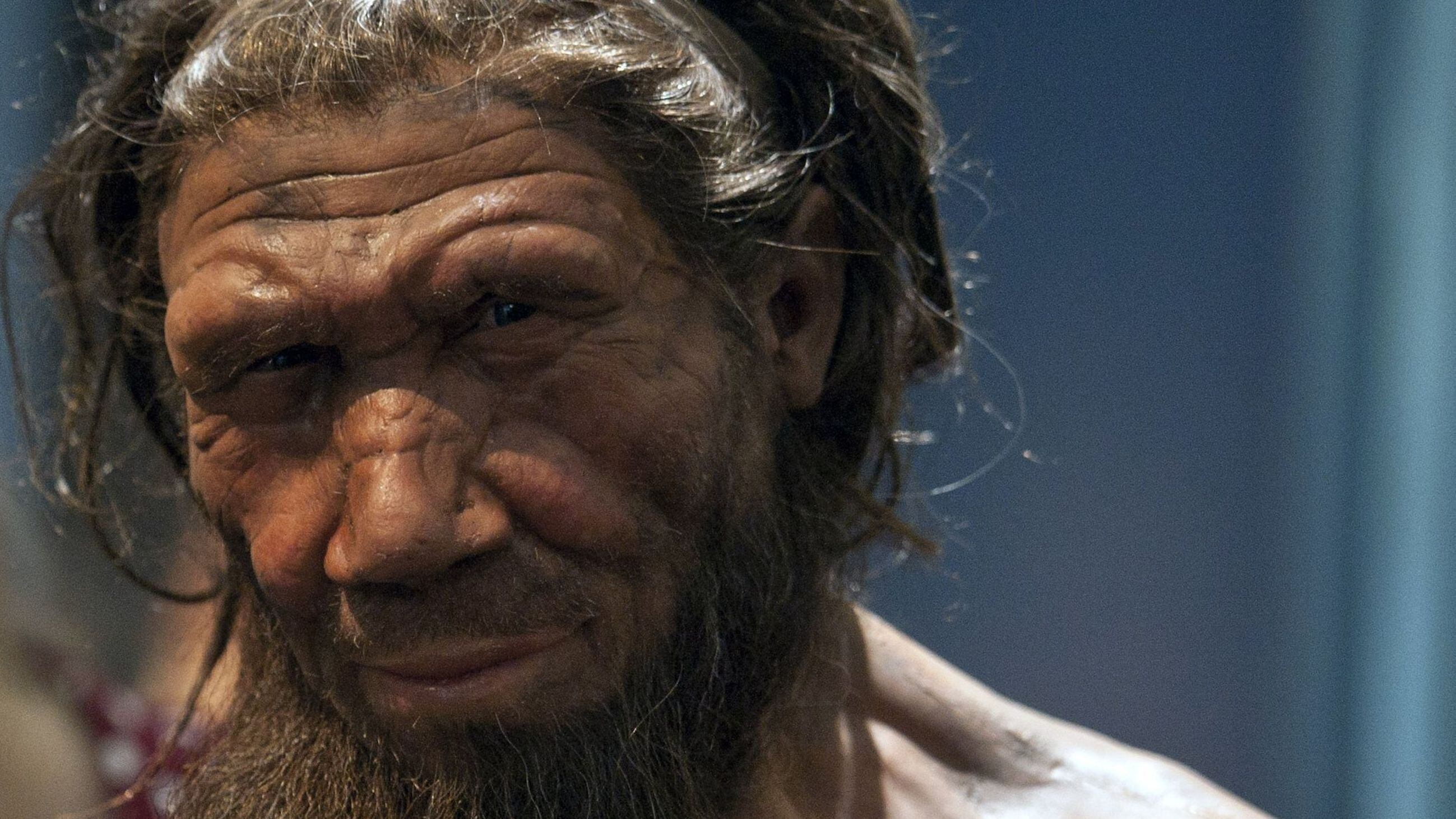 Extinc Humans Climate change may have driven early human species to extinction ...