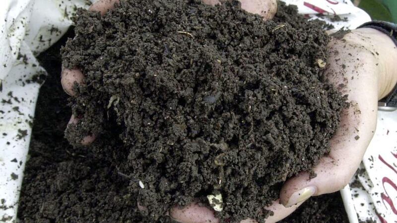 There are basically two types of compost, soilless and soil-based.  