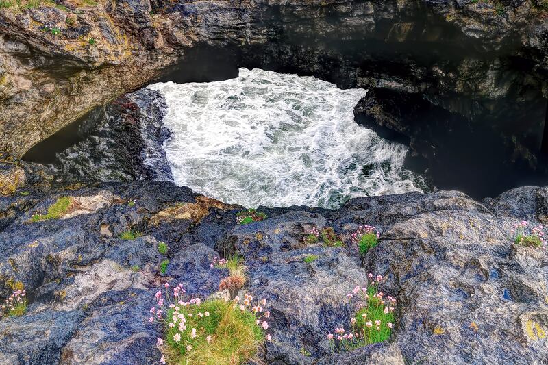 Joys of our Wild Atlantic Way - Take on Nature