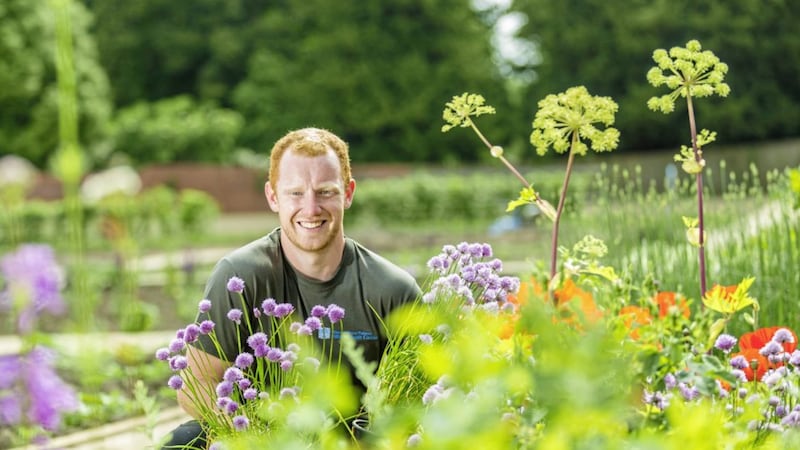 Keeper of the Walled Garden at Hillsborough Castle and Gardens Adam Ferguson 