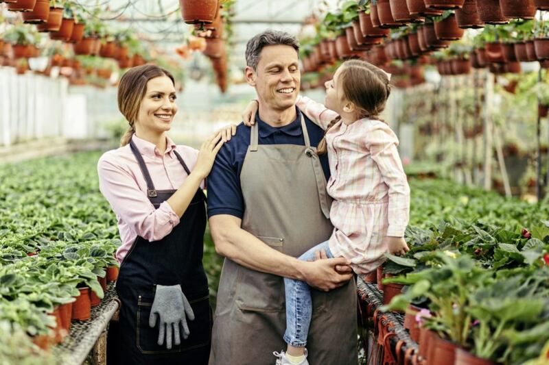 Succession and wealth transfer in family businesses