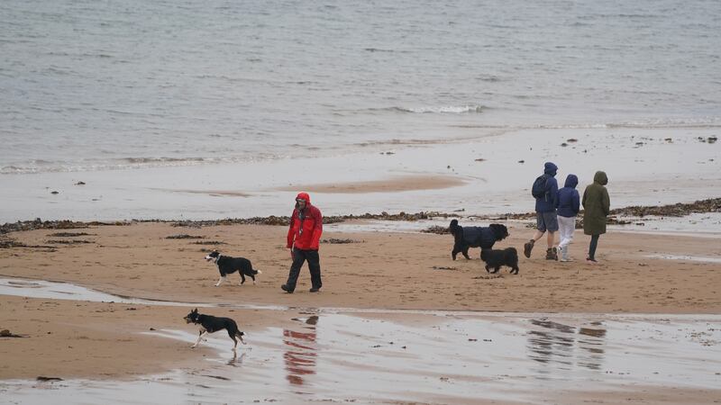 Dog walkers brave the wet weather at Longsands beach in Tynemouth (Owen Humphreys/PA)