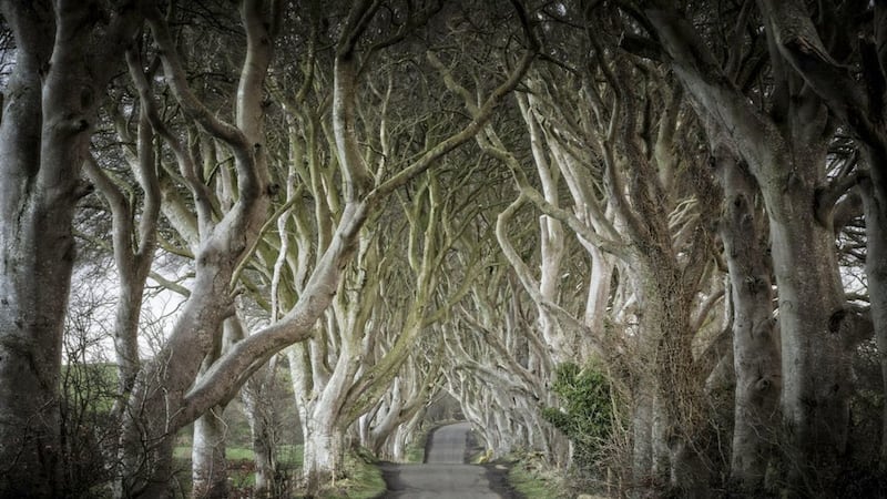 The Dark Hedges in Co Antrim has caught the attention of US publication Architectural Digest, which has ranked it among the world&#39;s most beautiful roads, streets and avenues 