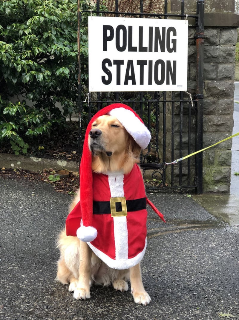 &nbsp;Handout photo taken with permission from the Twitter feed of @Sewingloon of dog Millie wearing a Christmas outfit at a polling station. @Sewingloon/PA Wire