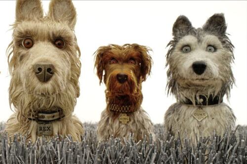 Film: Isle Of Dogs latest self-consciously offbeat buddy comedy from Wes Anderson 