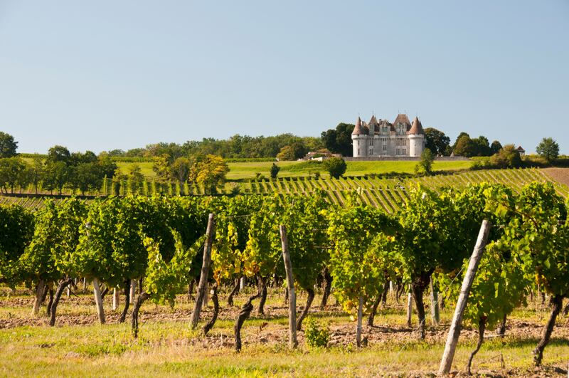 French chateau with surrounding vineyardss and chateau in France