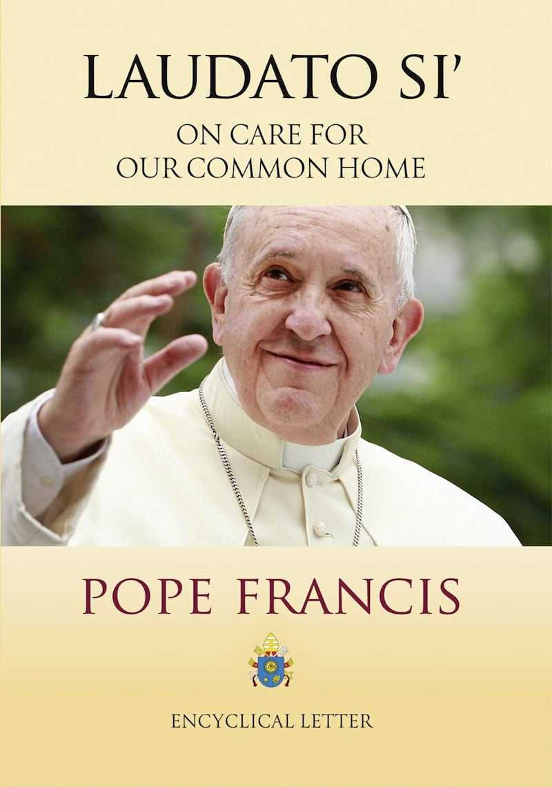 Pope Francis&#39;s 2015 encyclical Laudato S&iacute; addresses our care for &#39;our common home&#39; 