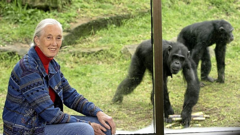 World renowned ethologist and activist Dr Jane Goodall will deliver the keynote address at the IoD Women&#39;s Leadership Conference on March 9 and 11 