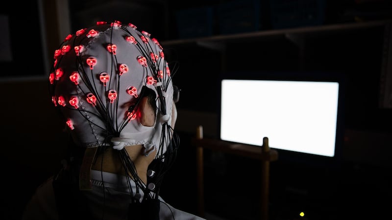 Neuroscientists from Cambridge University attached sensors to the heads of 80 participants.
