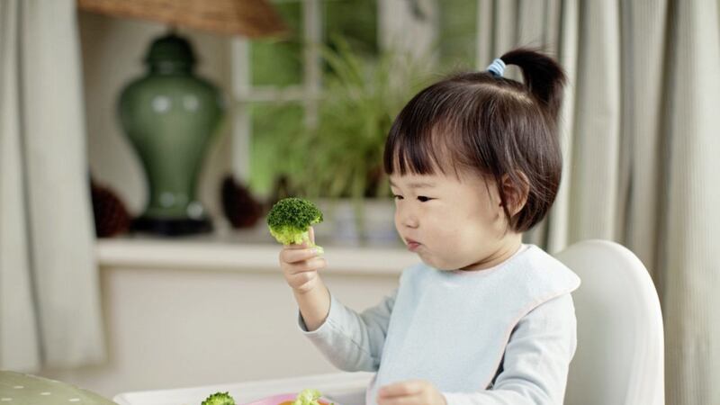 You may have to offer vegetables many times before your child will start to like and accept them 