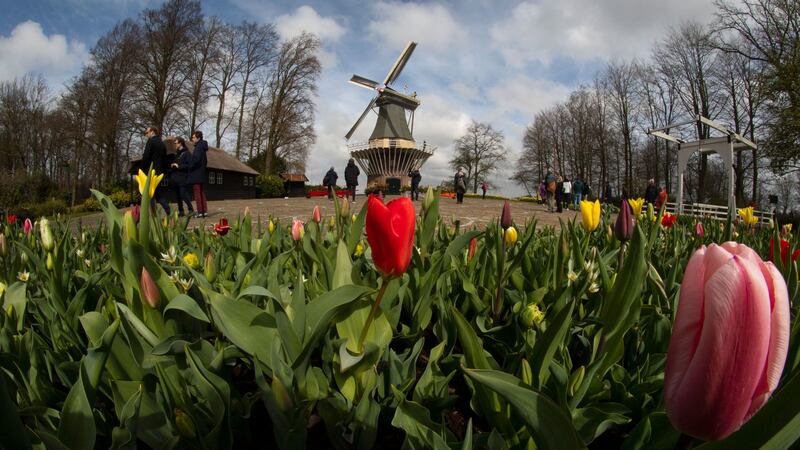 The Keukenhof garden opened its gates to let a few thousand people enjoy the seven million tulips, hyacinths, daffodils and other flowers.