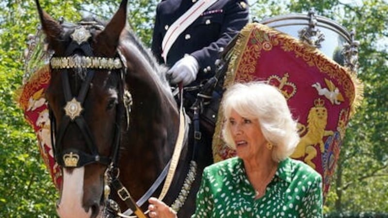 Queen Camilla names the new Household Cavalry Drum Horse Juno ridden by Sergeant Major Daniel Evans (Gareth Fuller/PA)