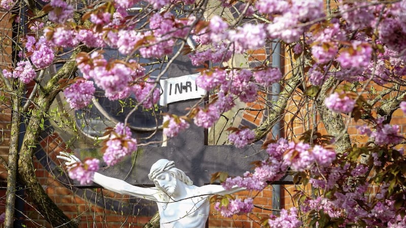 The cherry blossom, pictured at St Paul&#39;s Church on Belfast&#39;s Falls Road, is symbolic of spring and a time of renewal, representing the fleeting nature of life... Catholic parishes are being asked to give over 30 per cent of their grounds to nature, to attract bees and butterflies. Picture by Mal McCann 