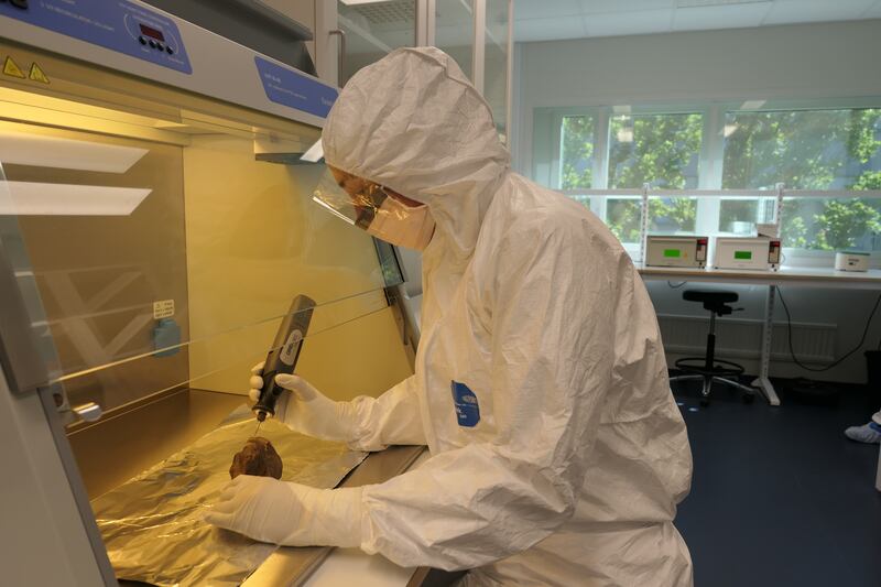 Edana Lord sampling woolly rhinoceros DNA in a lab