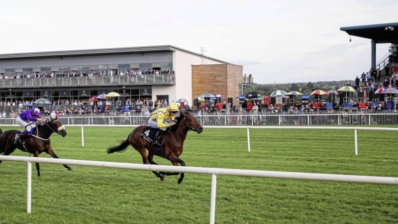 Down Royal is among the most famous racecourses in Ireland 