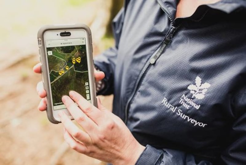 &nbsp;The sheep's GPS collars will send information back to the farmer and the National Trust. Picture by National Trust