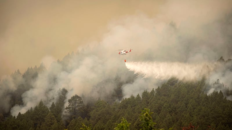 A helicopter drops water on the flames as the fire advances through the forest towards the town of El Rosario in Tenerife (Arturo Rodriguez/AP))