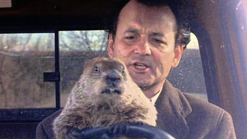 Don&#39;t drive angry: Bill Murray and furry friend in Groundhog Day 