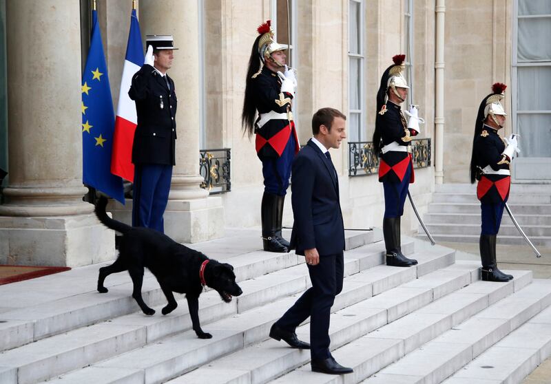 Nemo follows Macron down the steps (Thibault Camus/AP)