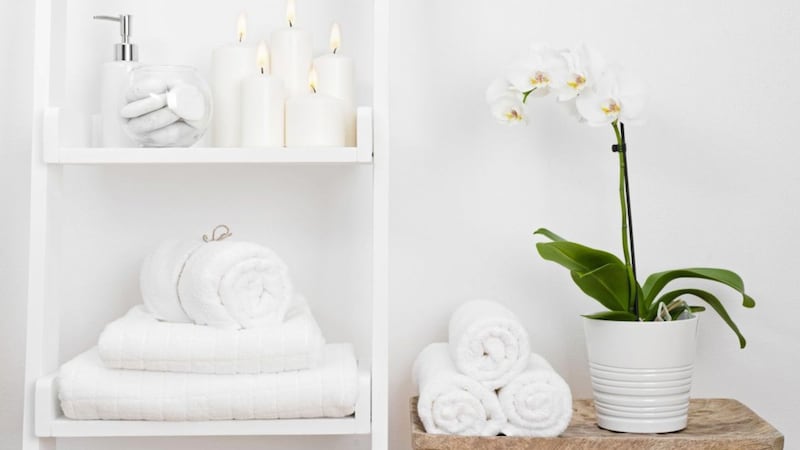 Orchids in the bathroom can help add a touch of greenery to your home 