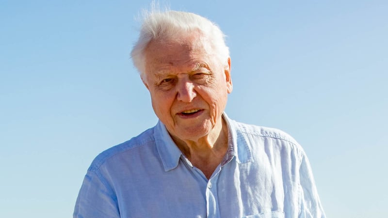 Attenborough And The Giant Sea Monster will see the broadcaster explore the history of prehistoric marine reptile the pliosaur.