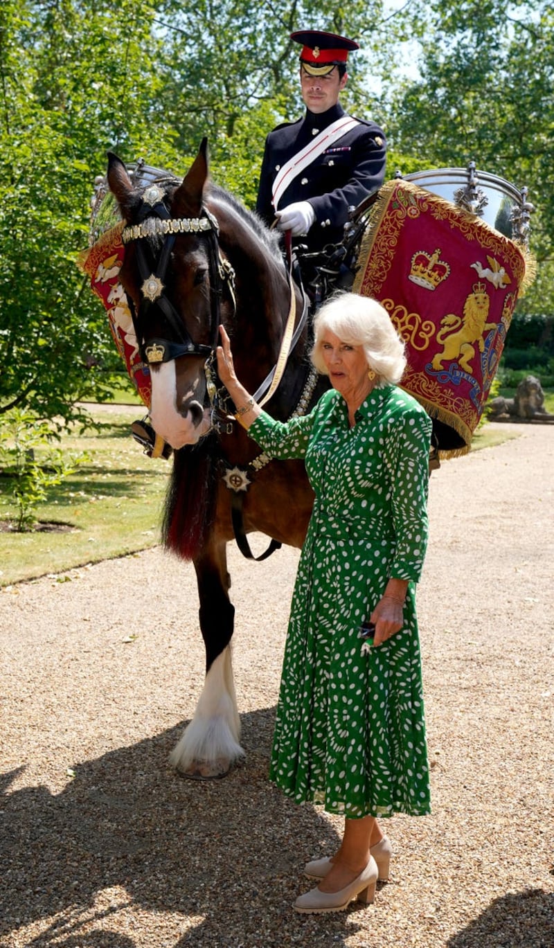 Royal naming of new Household Cavalry Drum Horse
