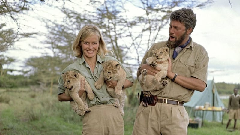 Bill Travers and Virginia McKenna with their cute lion cub co-stars in Born Free 