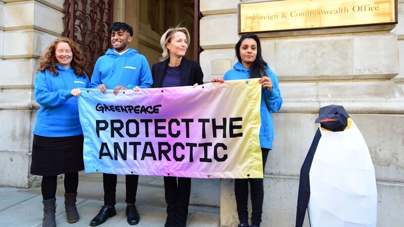 A petition signed by 350,000 people in the UK calls for the creation of an Antarctic Ocean sanctuary to protect penguins, whales and seals.