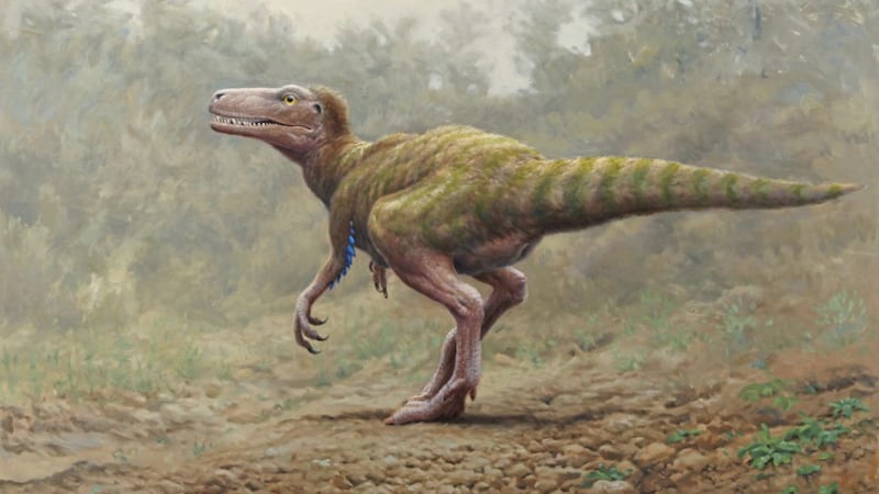 An artist&rsquo;s impression of a Sarcosaurus painted by Julian Friers, wildlife artist. Sarcocarus was a small bipedal carnivore, a distant ancestor of Tyrannosaurus rex. Almost certainly it would have had feathers, probably for camouflage or display, but it was not a bird and could not fly. 
