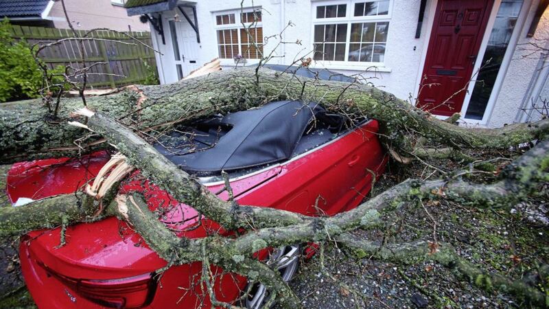 A tree landed on a car outside Simon Irwin&#39;s home in south Belfast. Picture by Mal McCann 