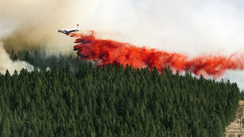 A plane drops a load of fire retardant on the north side of Beacon Hill,   in Spokane, Washington. Picture by Colin Mulvany, The Spokesman-Review/ Associated Press&nbsp;