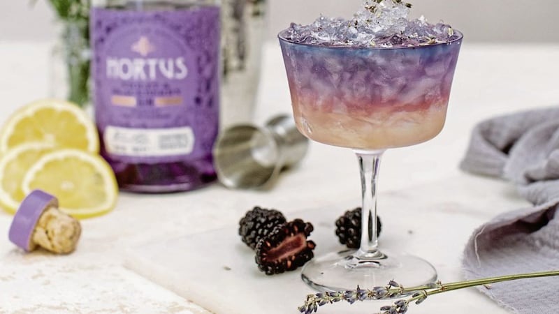Treat your friends to a Hortus Violet &amp; Blackberry Gin 