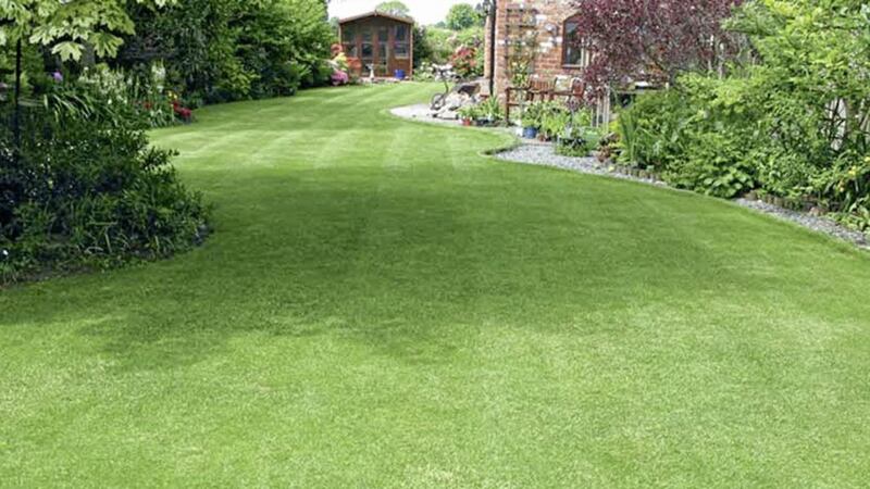 A lawn is no longer de rigueur for an increased number of gardeners 
