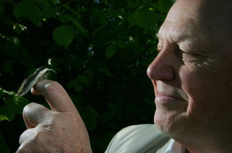 Attenborough with a moth