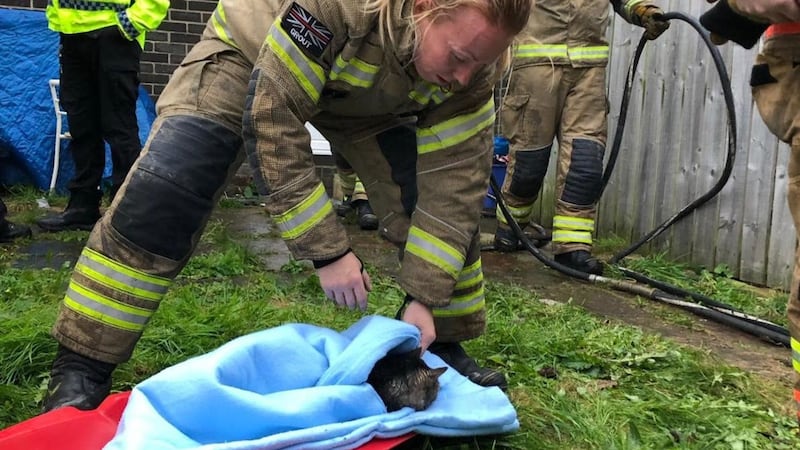Crews have been praised for saving the unconscious cat using specialist equipment donated by the RSPCA.