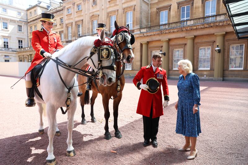The Queen met and fed horses ahead of the reception