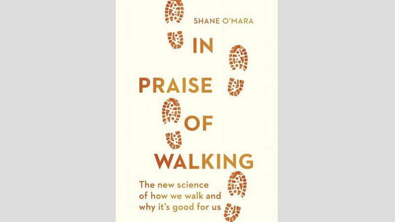 In Praise Of Walking by Shane O&#39;Mara, a professor of experimental brain research at TCD 