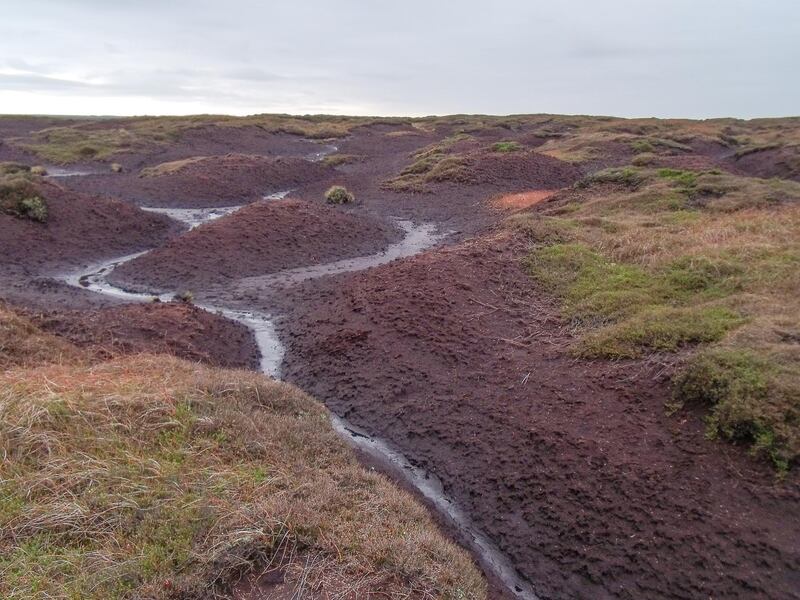 Eroded peat on Kinder Scout before restoration in 2009