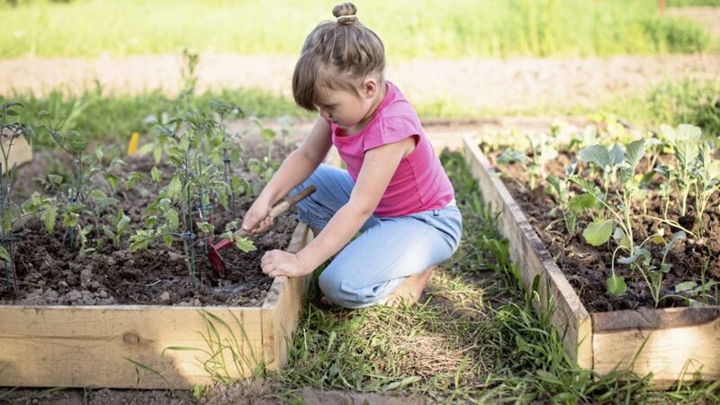 Teaching children &#39;food empathy&#39; through sowing and growing means they&#39;ll have a better understanding of food 