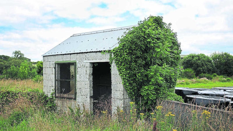 An abandoned guard hut at the Irish border. Picture by Niall Carson, Press Association 