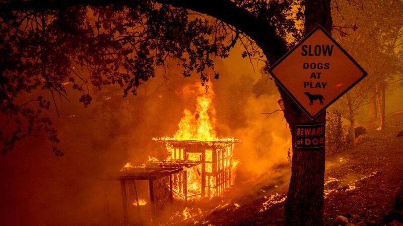 &nbsp;An outbuilding burns as the LNU Lightning Complex fires tear through the Spanish Flat area of unincorporated Napa County, California, on August<br />18 2020. Picture by Noah Berger, AP Photo