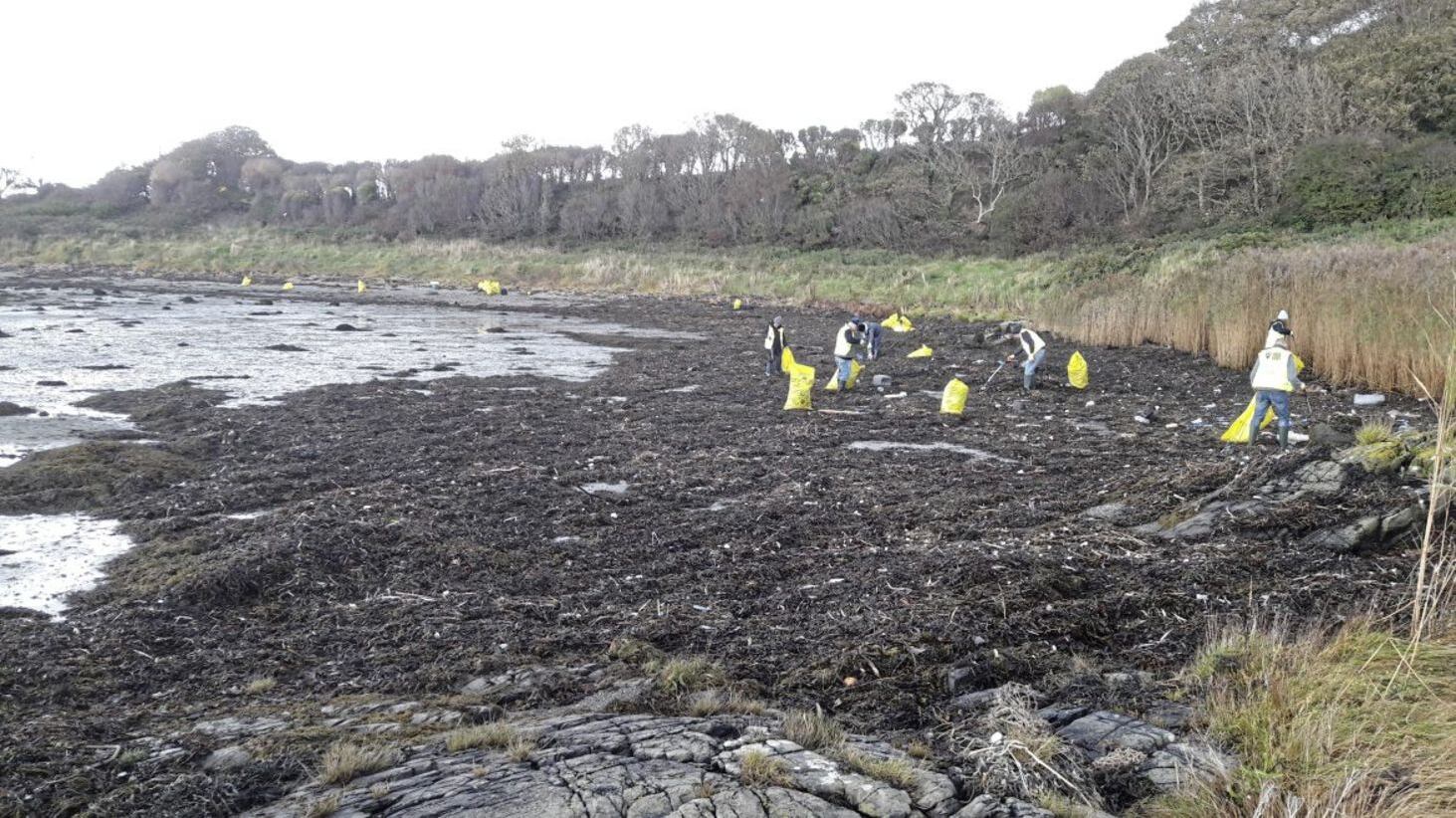 Volunteers help clean up beach litter in Ardglass, Co Down 