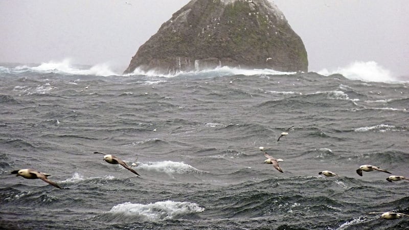 Rockall in the North Atlantic is at the centre of a fishing dispute between the Irish and Scottish governments. Picture by SNH, Marine Scotland/Crown Copyright/PA Wire 